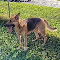 Thumbnail photo of Skype #4