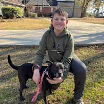 Thumbnail photo of Shelby #1