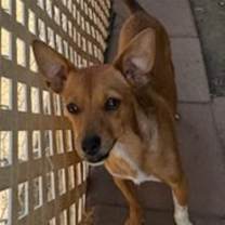 Thumbnail photo of Jack #2