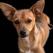 Thumbnail photo of Jack #1