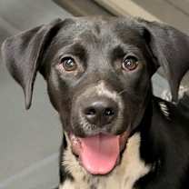 Thumbnail photo of Clyde #1