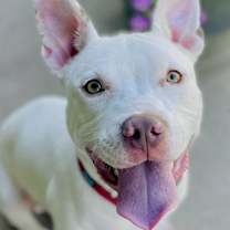 Thumbnail photo of Noodle #1