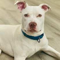 Thumbnail photo of Noodle #4