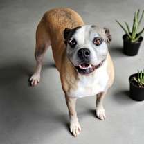 Thumbnail photo of Mitzi #1