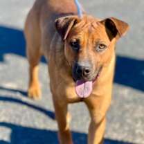 Thumbnail photo of Sadie* #1