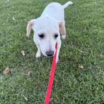 Thumbnail photo of Pablo #2