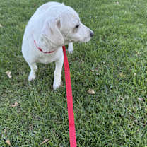 Thumbnail photo of Pablo #4