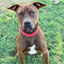 Thumbnail photo of Cameron #1