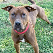 Thumbnail photo of Cameron #2