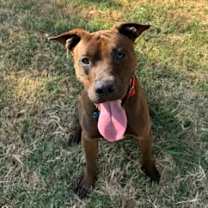 Thumbnail photo of Cameron #3