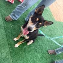 Thumbnail photo of Cruz #2