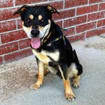 Thumbnail photo of Junior #3