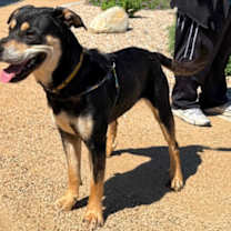 Thumbnail photo of Junior #4