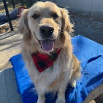 Thumbnail photo of Murphy #6170 #1