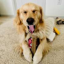 Thumbnail photo of Murphy #6170 #2