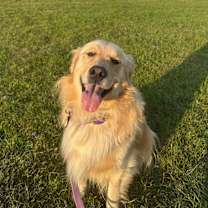 Thumbnail photo of Murphy #6170 #3