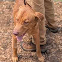 Thumbnail photo of 7540 Cody #4