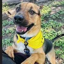 Thumbnail photo of Roger #1