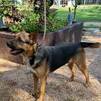 Thumbnail photo of Roger #4