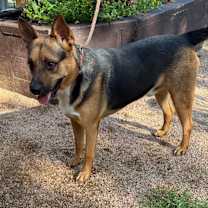 Thumbnail photo of Roger #3