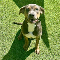 Thumbnail photo of Ruby #1