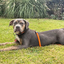 Thumbnail photo of Ruby #2