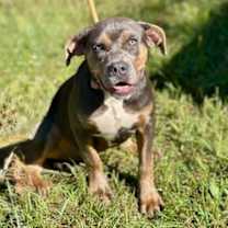 Thumbnail photo of Ruby #3