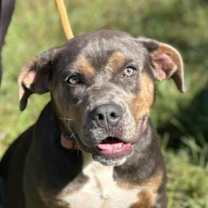 Thumbnail photo of Ruby #4