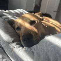 Thumbnail photo of Huncho #2