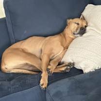 Thumbnail photo of Huncho #4