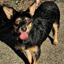 Thumbnail photo of MJ #3