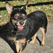 Thumbnail photo of MJ #4