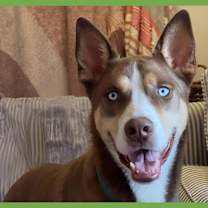 Thumbnail photo of Axel #1