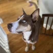 Thumbnail photo of Axel #3