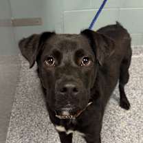 Thumbnail photo of Ricardo/Phinn #2