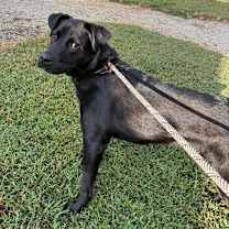 Thumbnail photo of Ricardo/Phinn #3