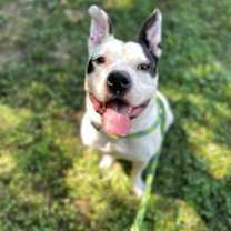 Thumbnail photo of Freddy #1