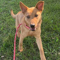 Thumbnail photo of Charlotte #1