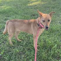 Thumbnail photo of Charlotte #2