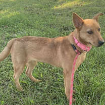 Thumbnail photo of Charlotte #3