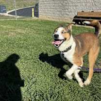 Thumbnail photo of Mawenzi #2