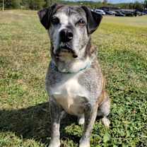 Thumbnail photo of Boo #1