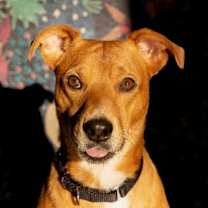 Thumbnail photo of Max #1