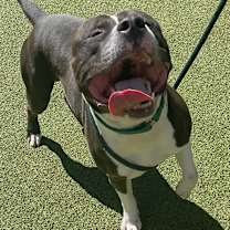 Thumbnail photo of Tango #4