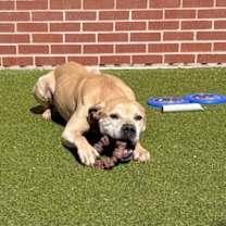 Thumbnail photo of Marvin #1