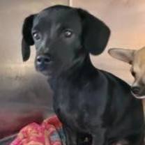 Thumbnail photo of 59370797 #2