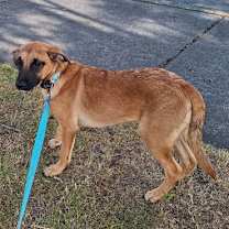 Thumbnail photo of Suhana #3