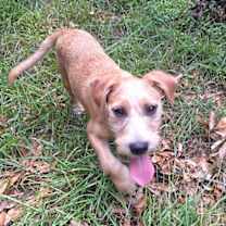 Thumbnail photo of Shayano #1