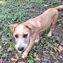 Thumbnail photo of Shayano #2