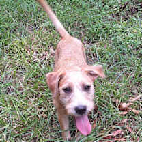 Thumbnail photo of Shayano #3